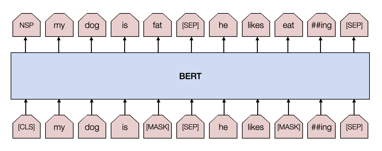 Figure 1: Example of input and output for two masked sentences.